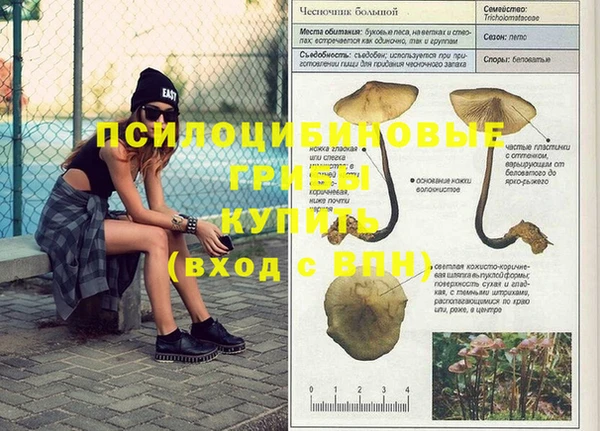 мяу мяу мука Беломорск
