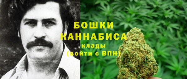 твердый Арсеньев