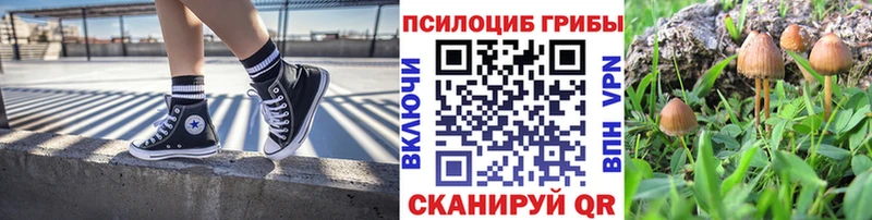 закладки  Дагестанские Огни  Псилоцибиновые грибы прущие грибы 