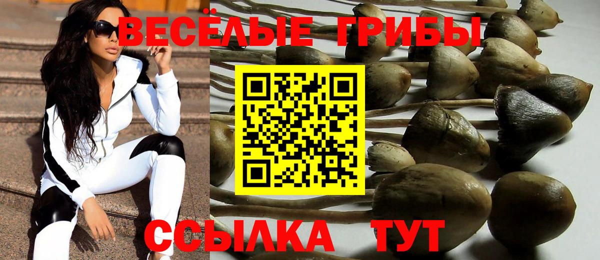 Галлюциногенные грибы мухоморы  Вход с VPN  Галлюциногенные грибы MAGIC MUSHROOMS  Дагестанские Огни 
